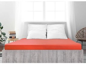 Cearșaf de pat 4Home jersey Ideal strawberry , 160 x 200 cm, 160 x 200 cm