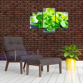 Tablou metnă (90x60 cm)