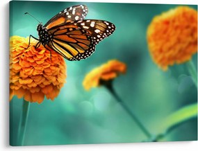 Tablou cu fluture (70x50 cm)