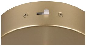 Lustră aurie LED ø 30 cm Cala – Trio Select