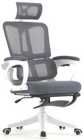 Scaun ergonomic cu suport lombar, tetieră reglabilă, suport pentru picioare, pivotant, Mesh, Alb/Gri