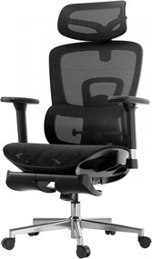 HBADA E2 Scaun ergonomic, cotiere reglabile 3D, suport lombar reglabil, spătar reglabil inaltime, pivotant, suport picioare, Negru