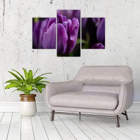 Tablou cu flori de lalele (90x60 cm)