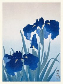 Reproducere Blue Iris Flowers, Ohara Koson