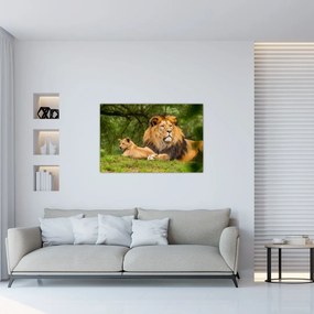 Tablou cu lei (90x60 cm)