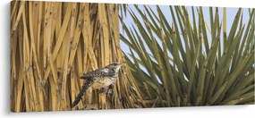 Tablou - Pănțărușul (120x50 cm)