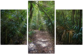 Tablou - Razele solare în junglă (90x60 cm)