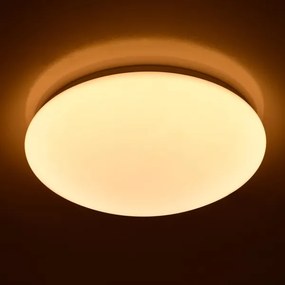 Plafonieră LED dimabilă Brilagi OPAL LED/24W/230V 3000/4000/6500K + telecomandă