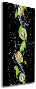 Tablou pe pânză canvas Kiwi