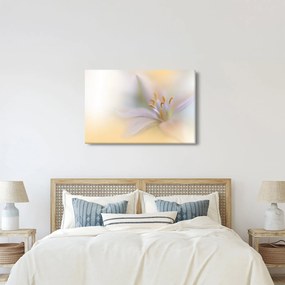 Tablou - Floare fragedă (90x60 cm)