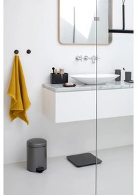Set 2 agatatoare prosoape Brabantia ReNew 1003485, Kit de montare inclus, Pana la 2 kg, Gri inchis