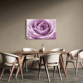 Tablou detaliu de floare de trandafir (90x60 cm)