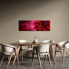 Tablou cu floare roșie (cu ceas) (90x30 cm)