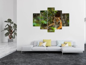 Tablou - Tigru odihnindu -se (150x105 cm)