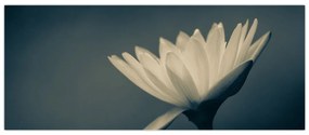 Tablou cu flori (120x50 cm)