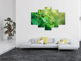 Tablou - Buburuza (150x105 cm)