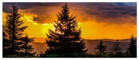 Tablou - coniferi (120x50 cm)