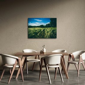 Tablou cu linca și pădure (70x50 cm)