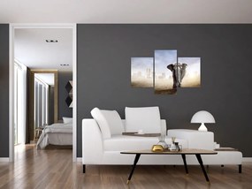 Tablou - Elefanți în oraș (90x60 cm)