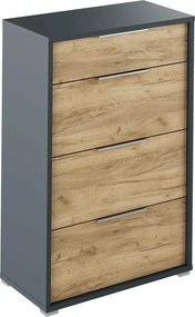 Comoda RIOMA NEW TYP 22, gri grafit/stejar artisan, PAL laminat, 75x38