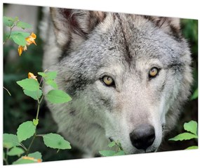 Tablou - Portret de lup (90x60 cm)