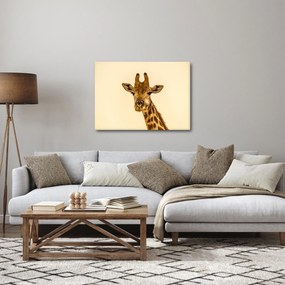 Tablou cu girafe (70x50 cm)