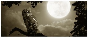 Tablou - Bufniță de noapte, auriu (120x50 cm)