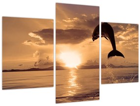 Tablou - Delfin la apus de soare (90x60 cm)