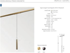 Pendul magnetic Smart pentru sina magnetica SIGMA, ANGOLA 12W CCT auriu
