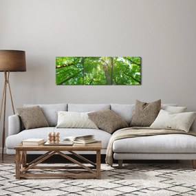 Tablou - Lunca (cu ceas) (90x30 cm)