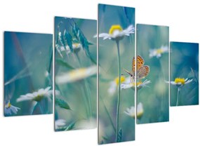 Tablou - Fluture pe margaretă (150x105 cm)