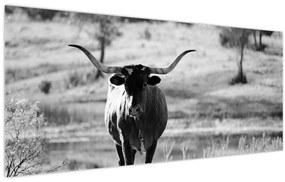 Tablou - Vacă,alb-negru (120x50 cm)