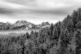 Fototapet munți înghețați în alb-negru
