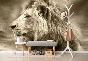 Tapet autoadeziv leul african în design sepia