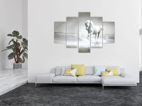 Tablou - Cal alb (150x105 cm)