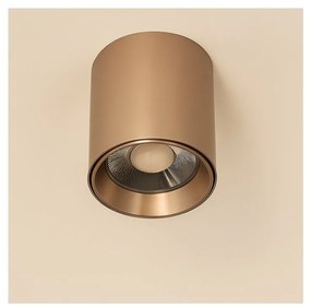 Spot aplicat maro LED BABIL 15W CCT