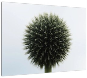 Tablou - Sfere de flori (70x50 cm)