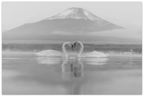 Tablou - Lebede îndrăgostite (90x60 cm)