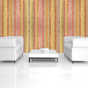 Fototapet - Textura - Scăndura colorată (152,5x104 cm)