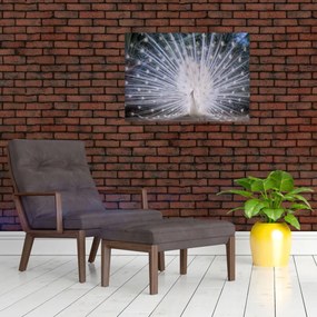 Tablou - Păun alb (70x50 cm)