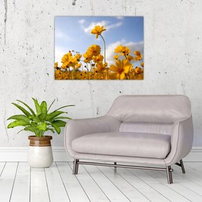 Tablou pe sticlă - Câmp cu flori galben deschis (70x50 cm)