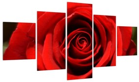 Tablou detailat cu trandafir (125x70 cm), în 40 de alte dimensiuni noi