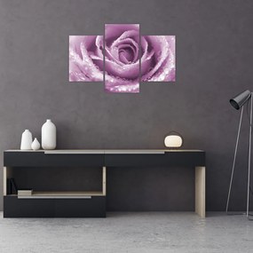 Tablou detaliu de floare de trandafir (90x60 cm)