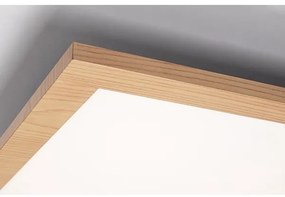 Panou LED aplicat ALMOND LED/40W/230V 4000K Rabalux 6909