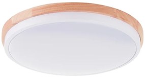 Plafonieră LED dimabilă Brilliant BAARLO LED/24W/230V d. 35 cm alb