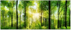 Tablou - Răsărit în pădure (120x50 cm)
