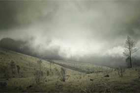 Tablou - Peisaj înainte de furtună (90x60 cm)
