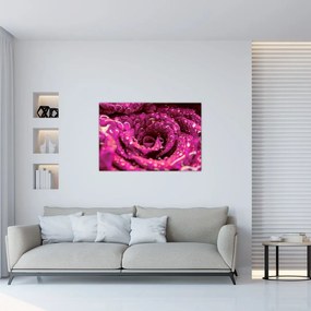 Tabloul cu floarea trandafirului roz (90x60 cm)