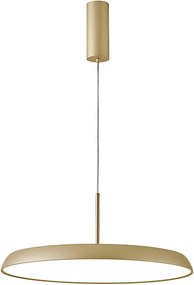 Lustră LED suspendată pe cablu ART LED/41W/230V, finisaj auriu