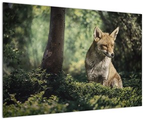 Tablou cu vulpe (90x60 cm)